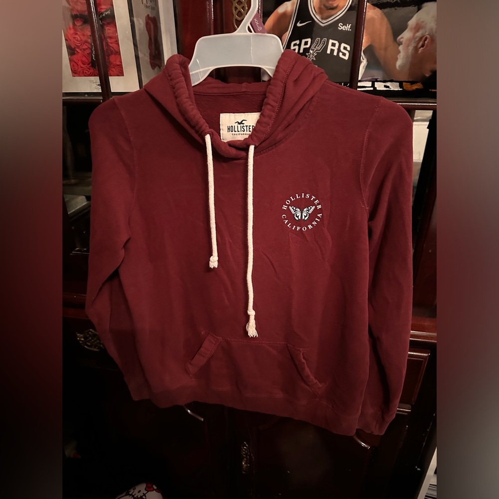 Hoodie Hollister